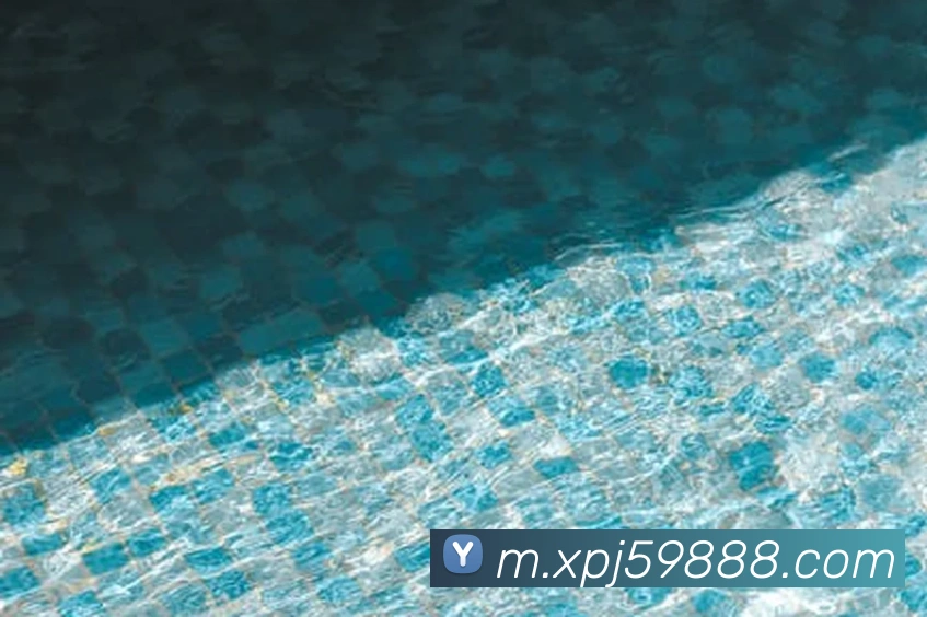 xpj全站App